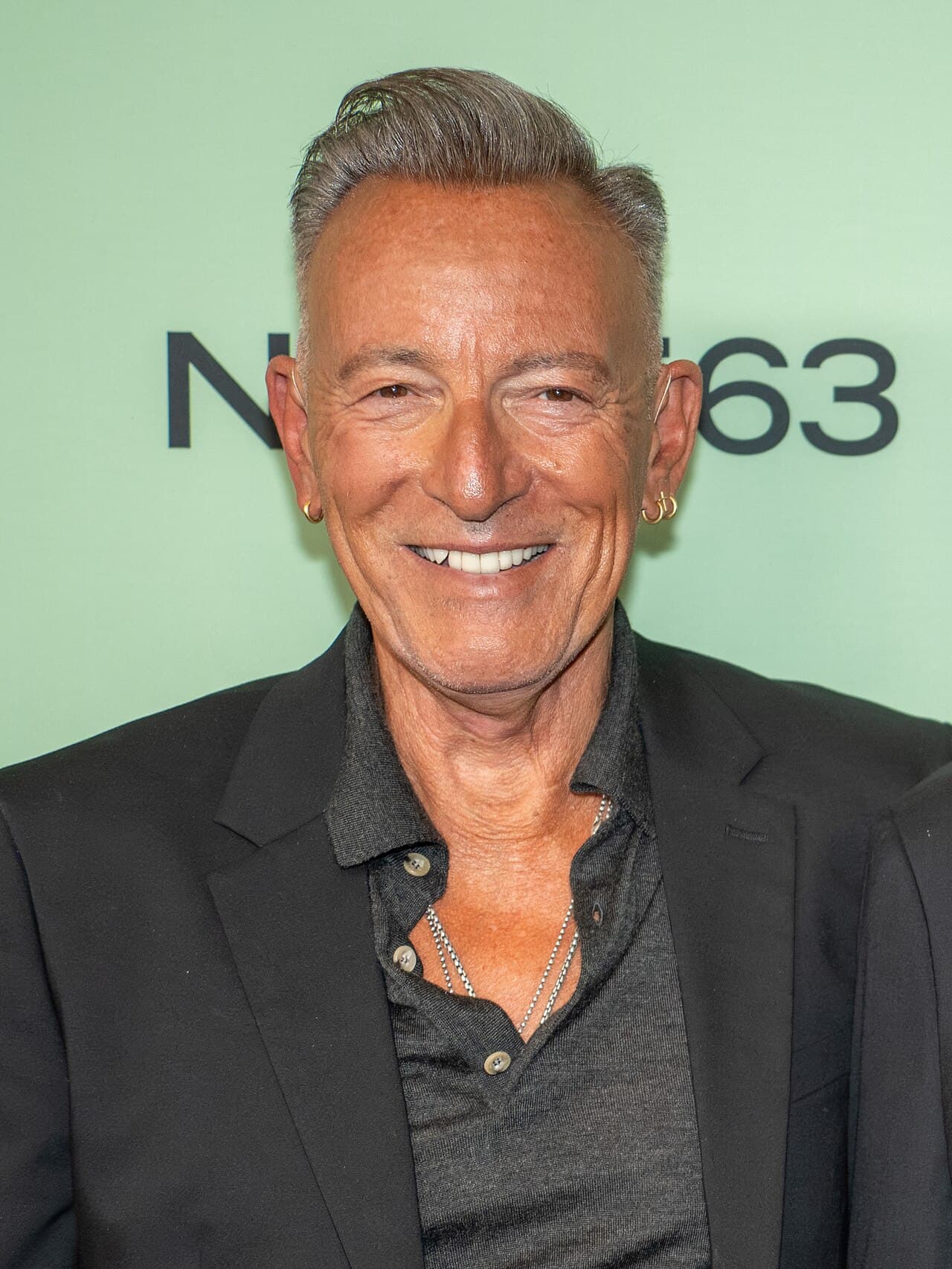 Bruce Springsteen, guitarist