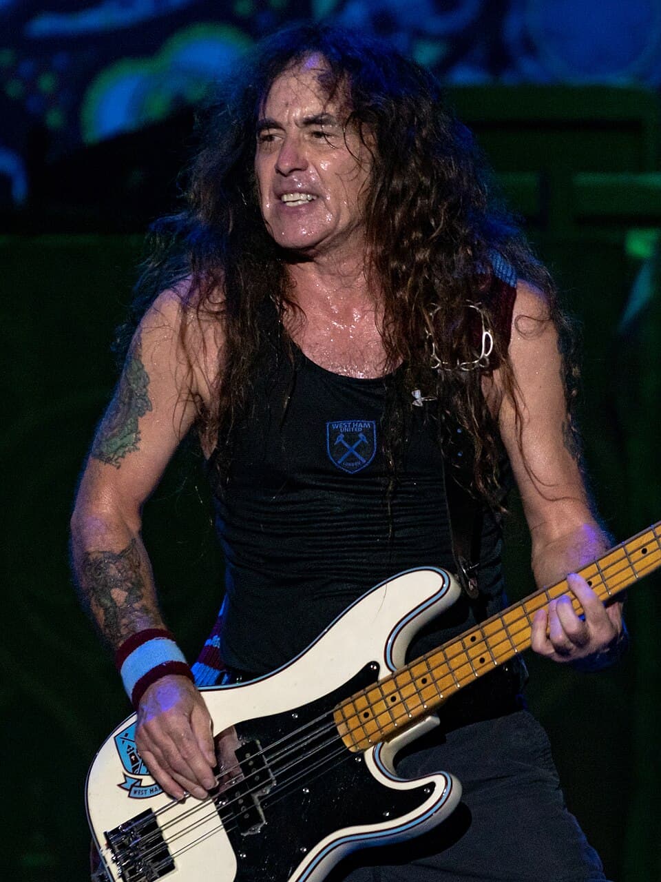 Steve Harris, bassist
