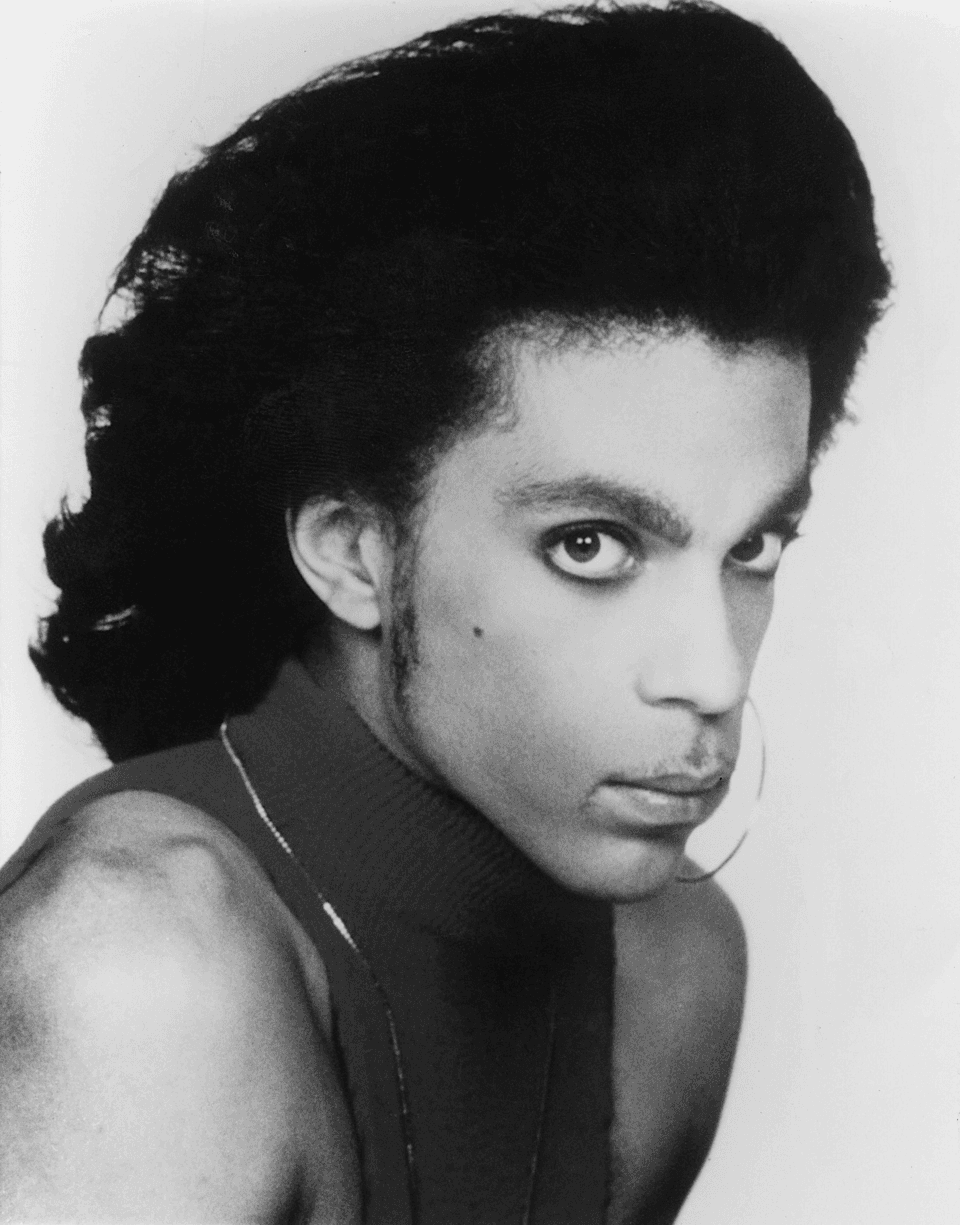 Prince, guitarist