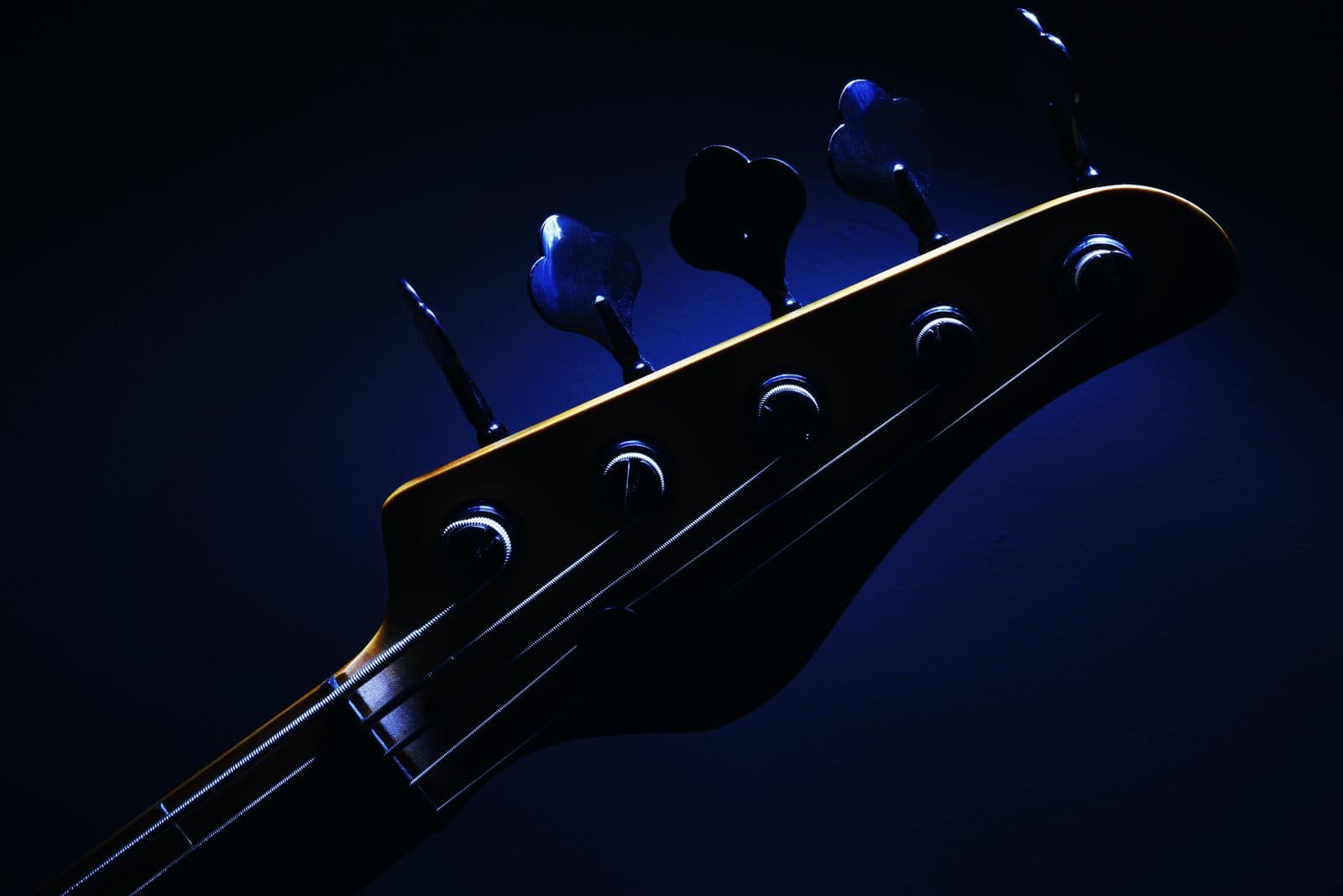 The headstock of a five-string bass guitar lit in blue.