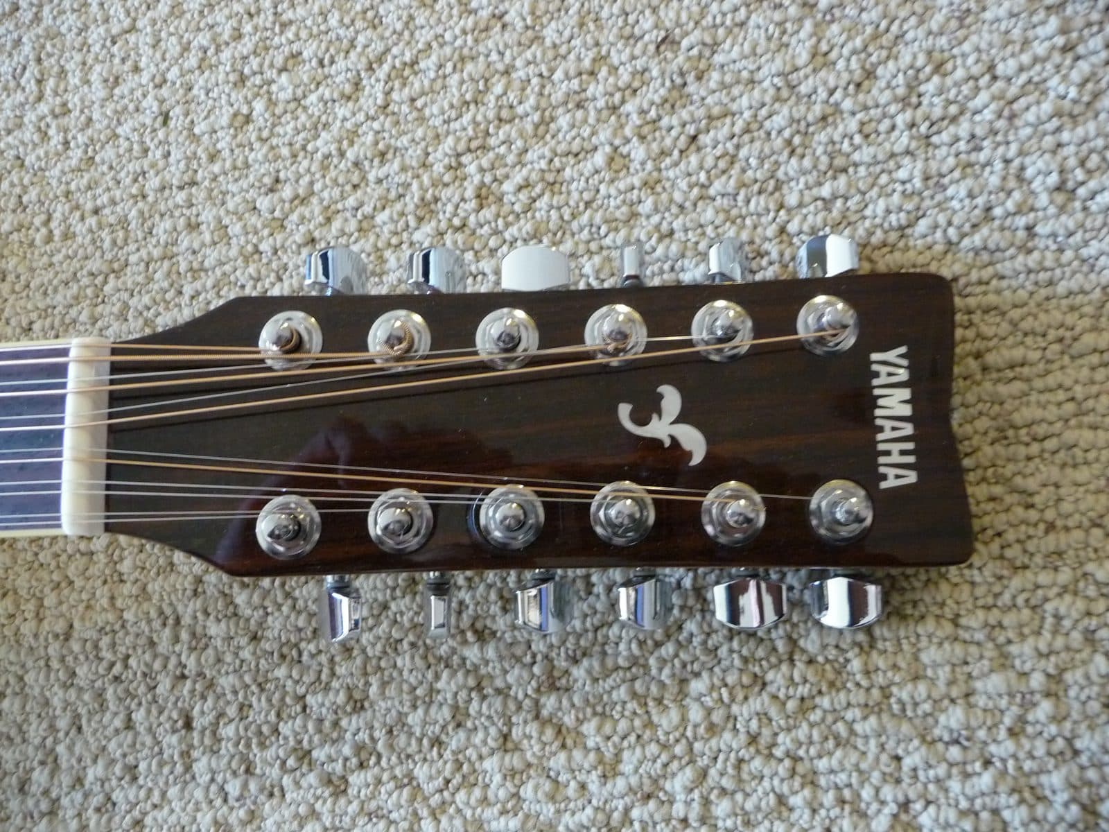 A guitar headstock and bone nut where the strings cross to the tuners.