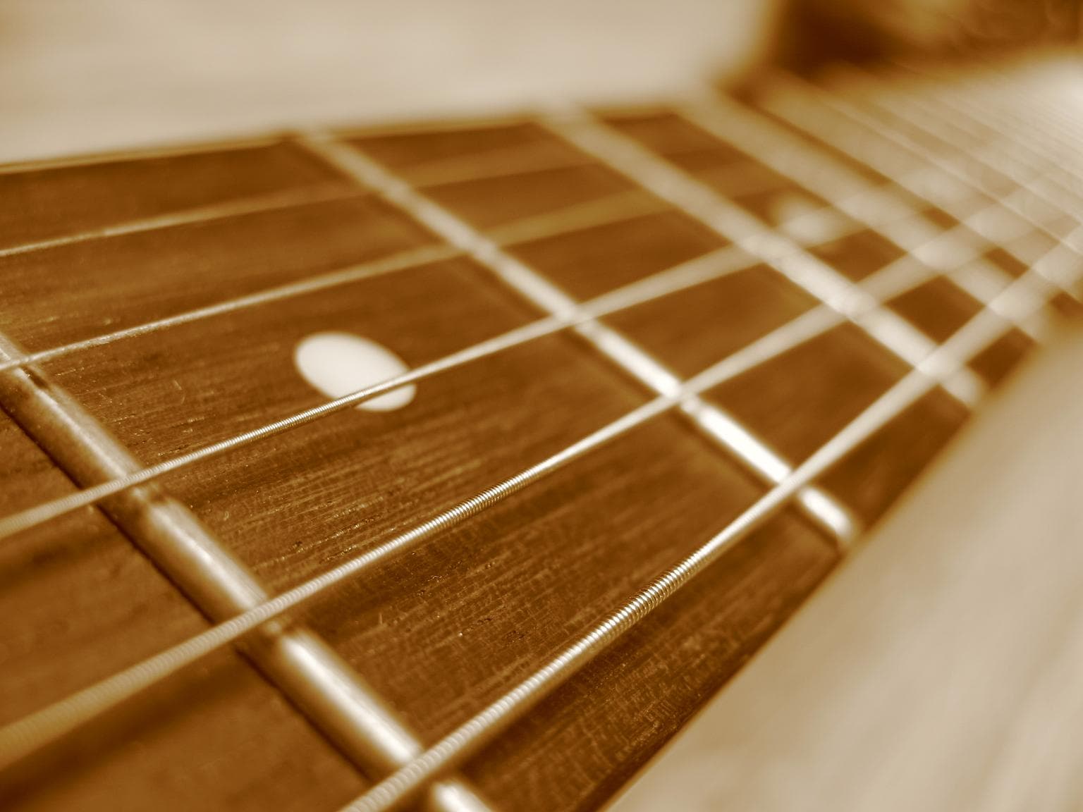 Close-up of a guitar fretboard showing the wound and plain strings across the frets.