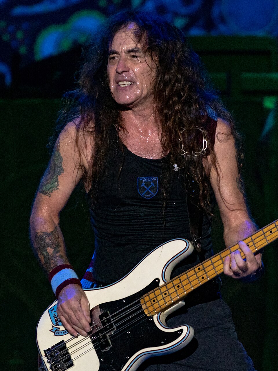Steve Harris, bassist
